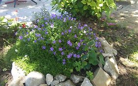 Apartment Pud Oreh